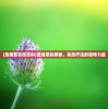 (圣魂草百度百科)圣魂草的奥秘，自然疗法的独特力量