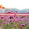 (时空之环主题下载 百度网盘)时空之环主题，探索宇宙的奥秘与未来展望