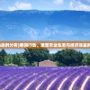 (大话西游手游)大话西游，一段跨越时空的传奇之旅
