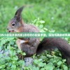 (贪吃的小松鼠手游死机)贪吃的小松鼠手游，探险与美食的完美结合