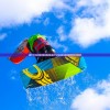 (蓝天飞行队物语攻略物品搭配)蓝天飞行队物语全面攻略及常见问答解析