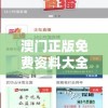 (奇兵小队攻略视频)奇兵小队攻略大全及常见问题解答
