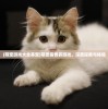 (萌宠游戏大全养宠)萌宠需要养游戏，深度探索与体验