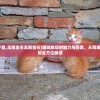 (猫咪旅店下载,无限金币无限宝石)猫咪旅店的魅力与探索，从萌宠到独特体验的全方位解读