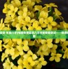 (电脑免费算命 生辰八字)电脑免费算命八字合婚婚姻测试——探寻您的姻缘之路