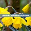 (仙禁是什么)仙禁生红药与生肖的奥秘