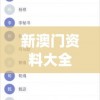 新澳门资料大全正版资料2024年免费,全面了解最新正品的解答与应用_预览版v.5.28