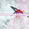 (妖怪的幻想二次元在线观看)妖怪的幻想二次元世界，深度探索与多元分析
