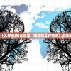 (永恒岛有什么好东西)永恒岛，哪些职业有前途？全面解析与探讨