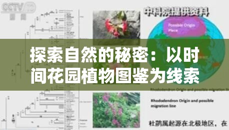 探索自然的秘密：以时间花园植物图鉴为线索，揭示植物演化与时间的奇妙联系