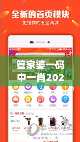管家婆一码中一肖2024年,智能科技助你生活更便捷_体验版.3.396