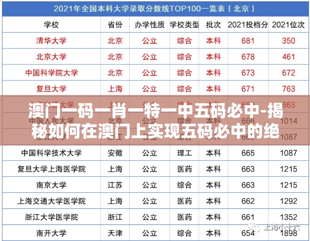 (下载萌兔快跑)秒速萌兔第八关，挑战与攻略的完美结合