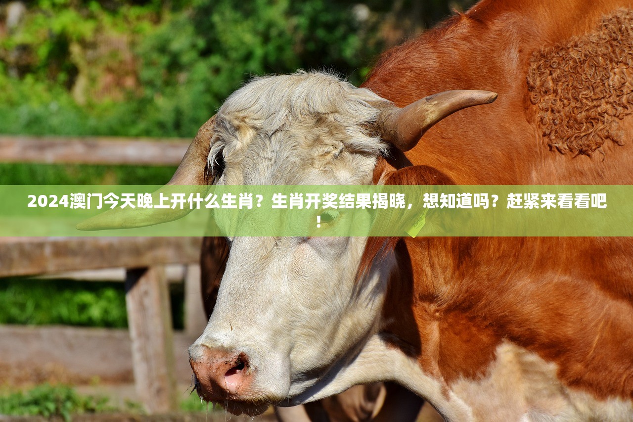 (烈焰王座攻略大全)烈焰王座攻略大全及常见问题解答