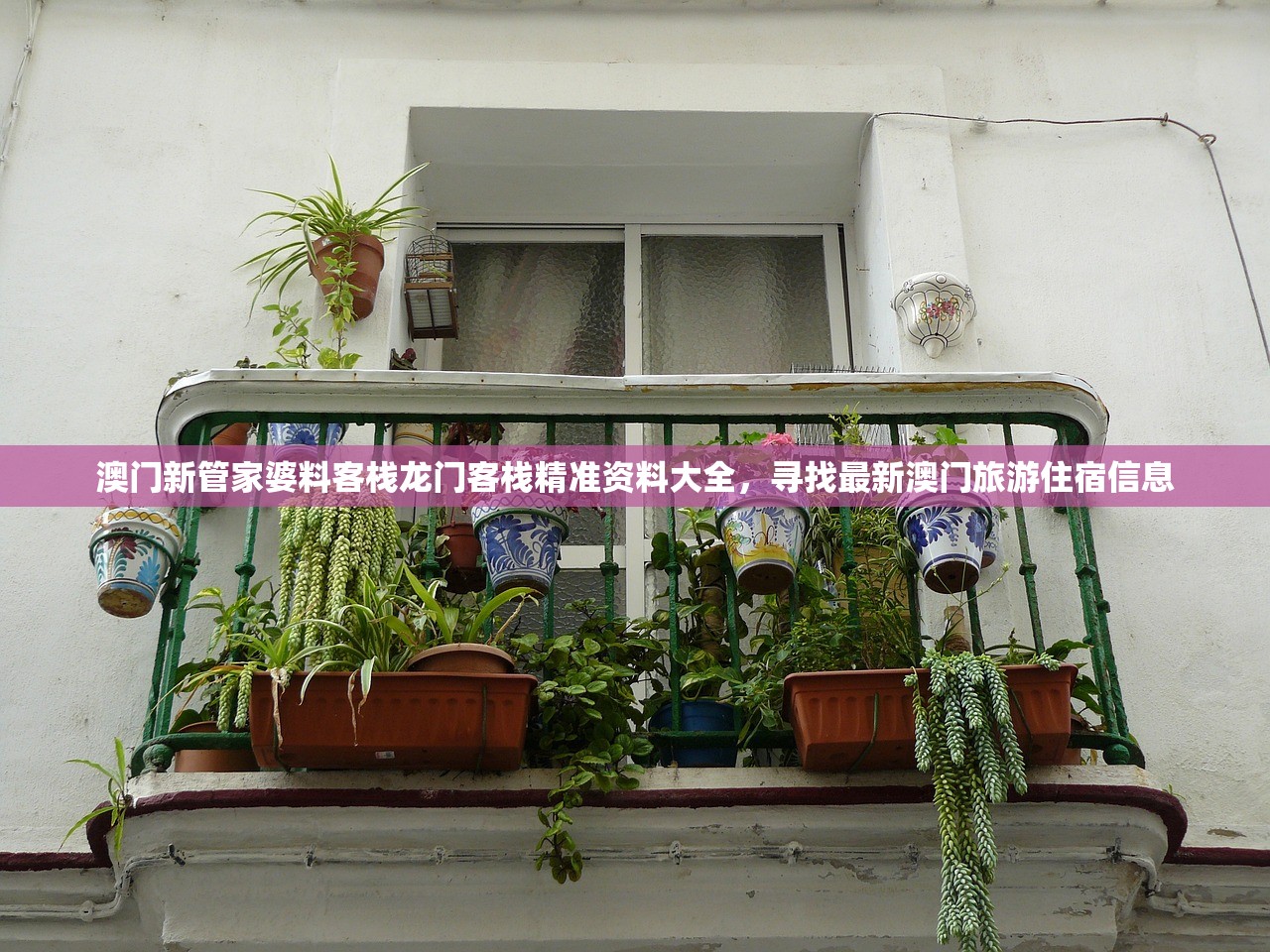 (仙剑蜀山派历代掌门)仙剑蜀山派的神秘与魅力，探寻仙侠文化的独特之处