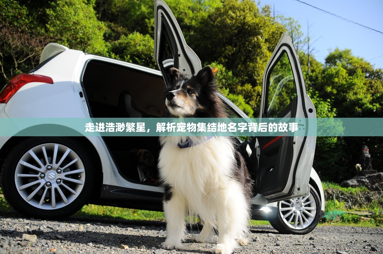 (健康快乐无边)快乐无双，健康无疆，探索幸福与健康的真谛