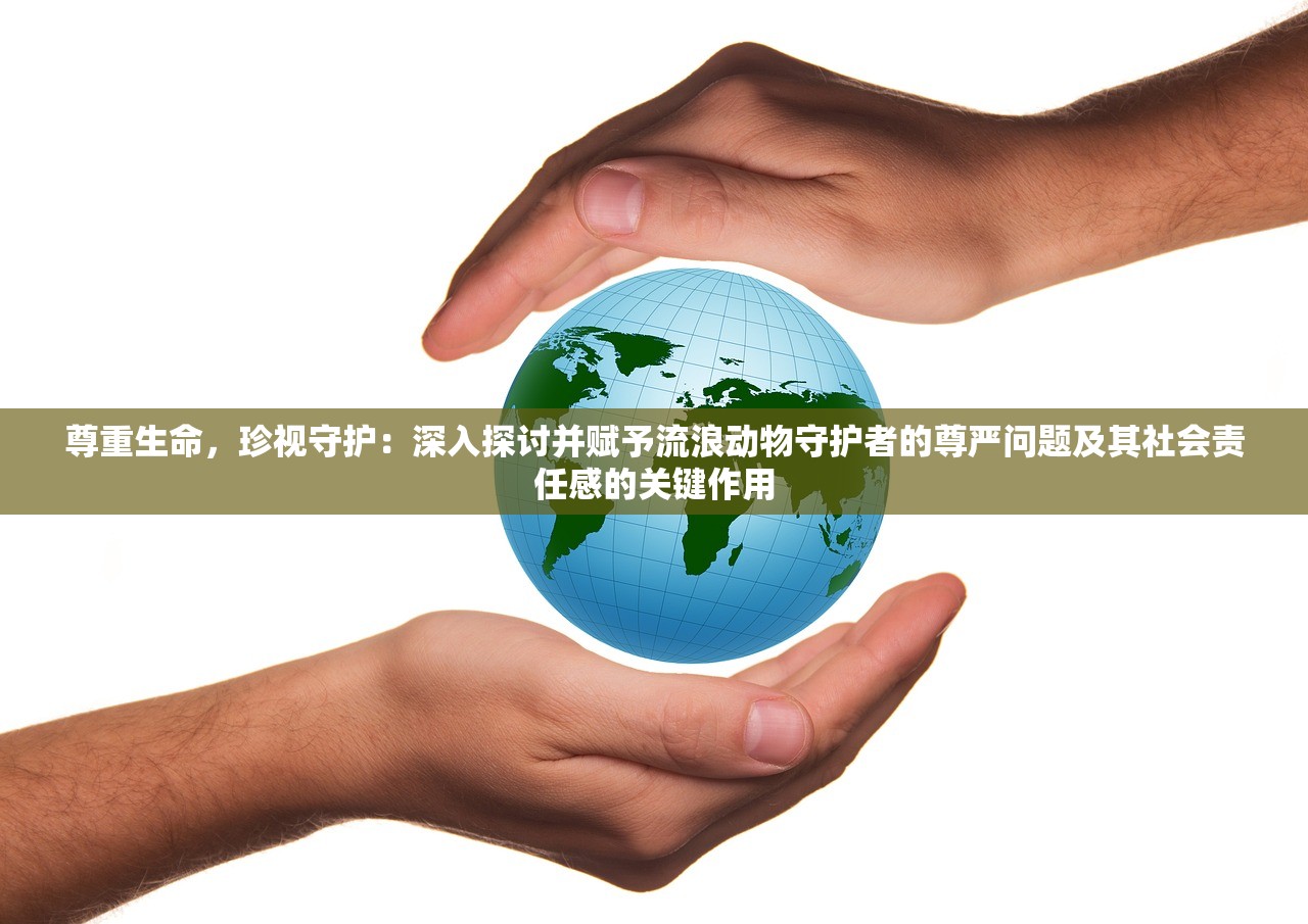 (影之痕攻略)影之痕下架原因详解，探究背后的因素与影响