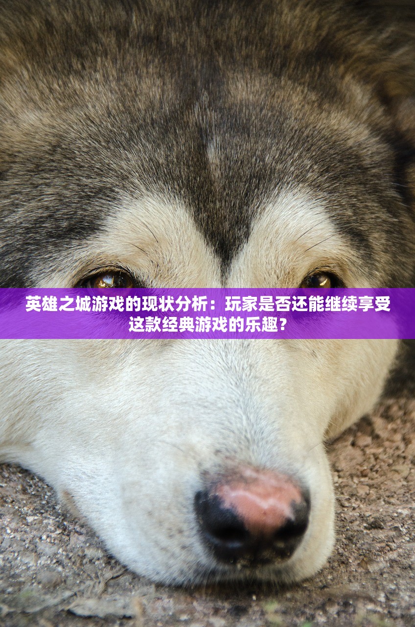 (火影忍者疾风传究极冲击金手指)火影忍者疾风传究极冲击PSP，游戏深度分析与体验分享