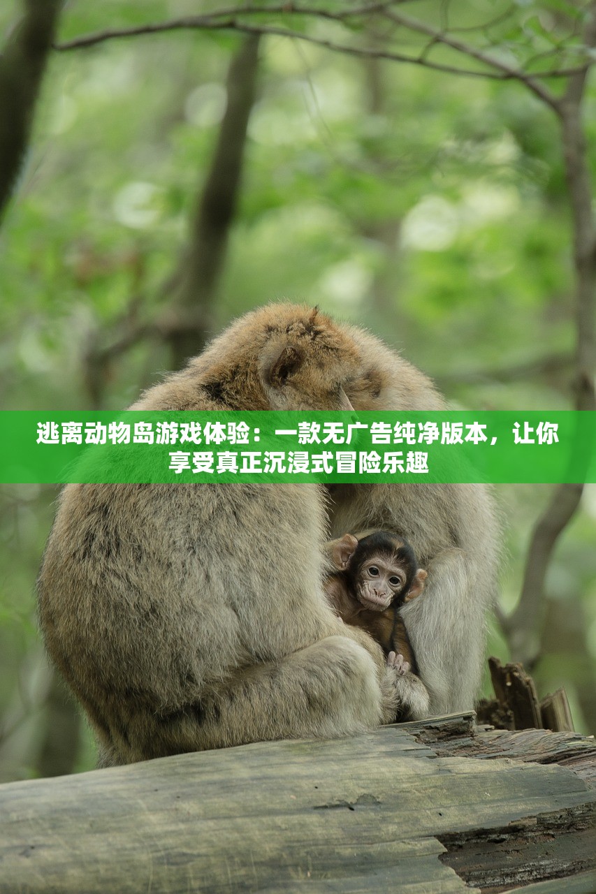 (与裳之恋官网)与裳之恋，探索台服的独特魅力
