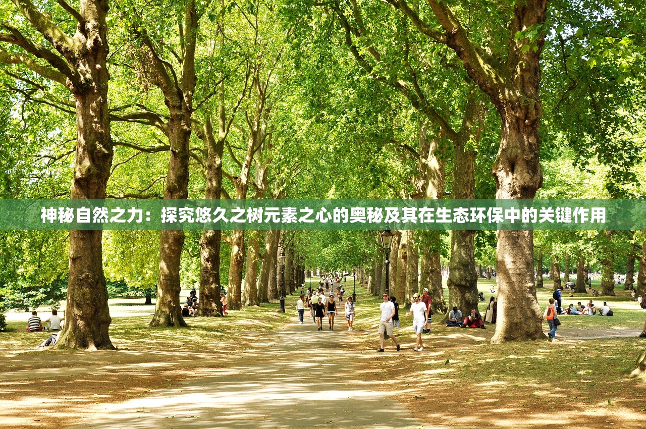 (新亮剑演员表名单)新亮剑，重塑经典，引领时代潮流