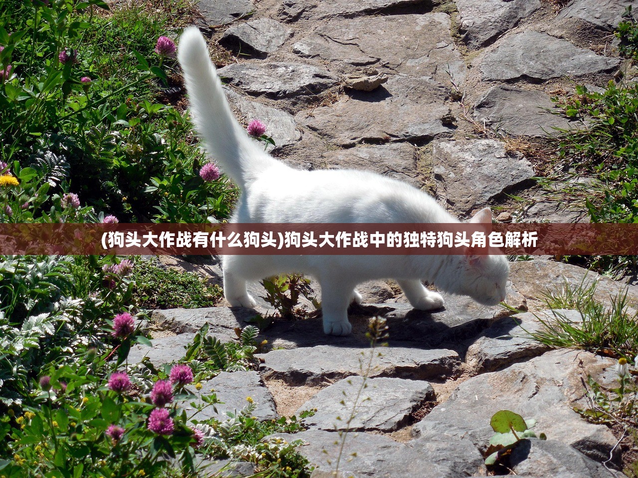 (猎龙之征手游官网)猎龙之征手游，探索奇幻世界的无尽魅力