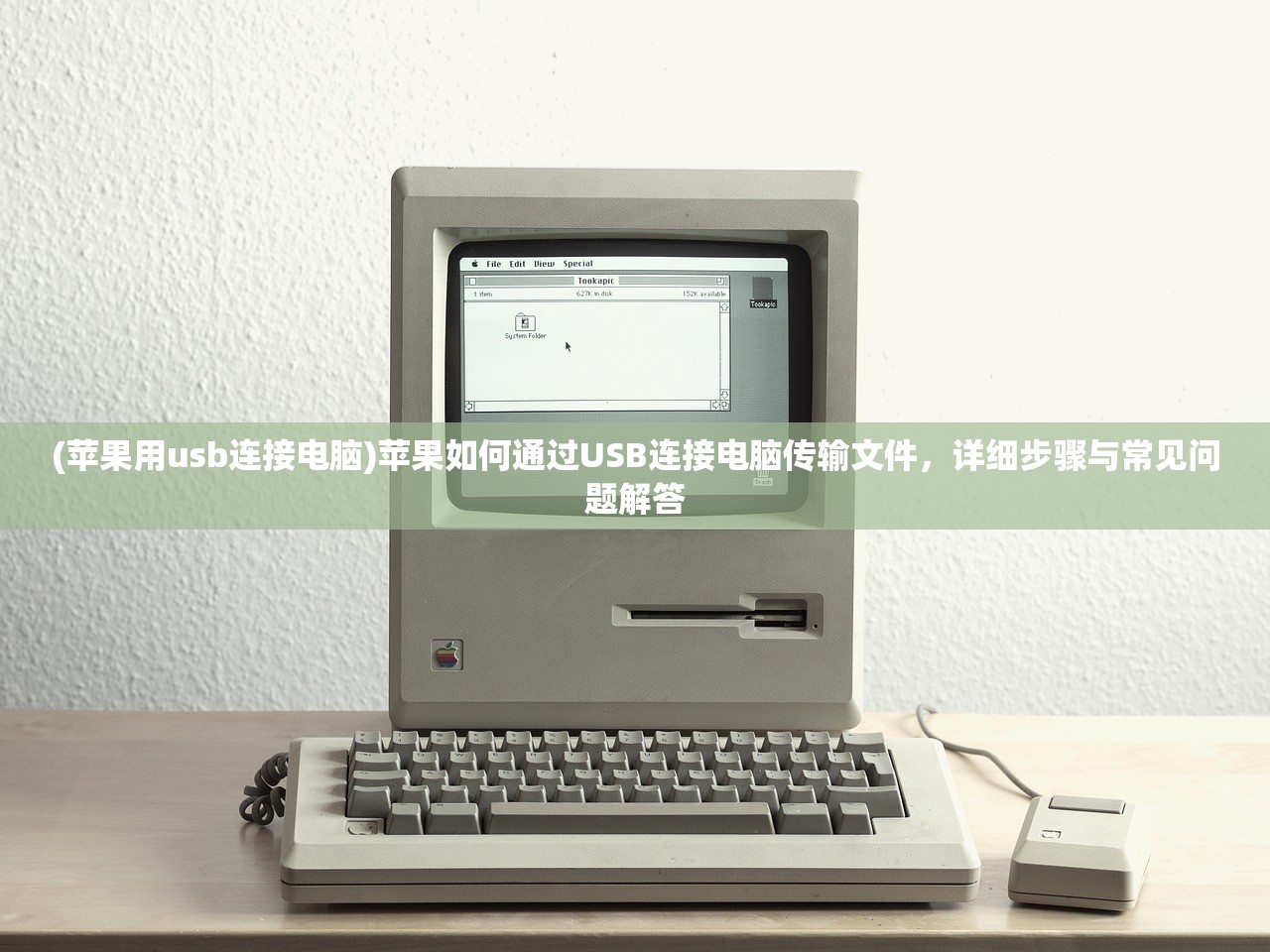 (御驾亲征什么意思指什么生肖)御驾亲征的意思及其深层含义