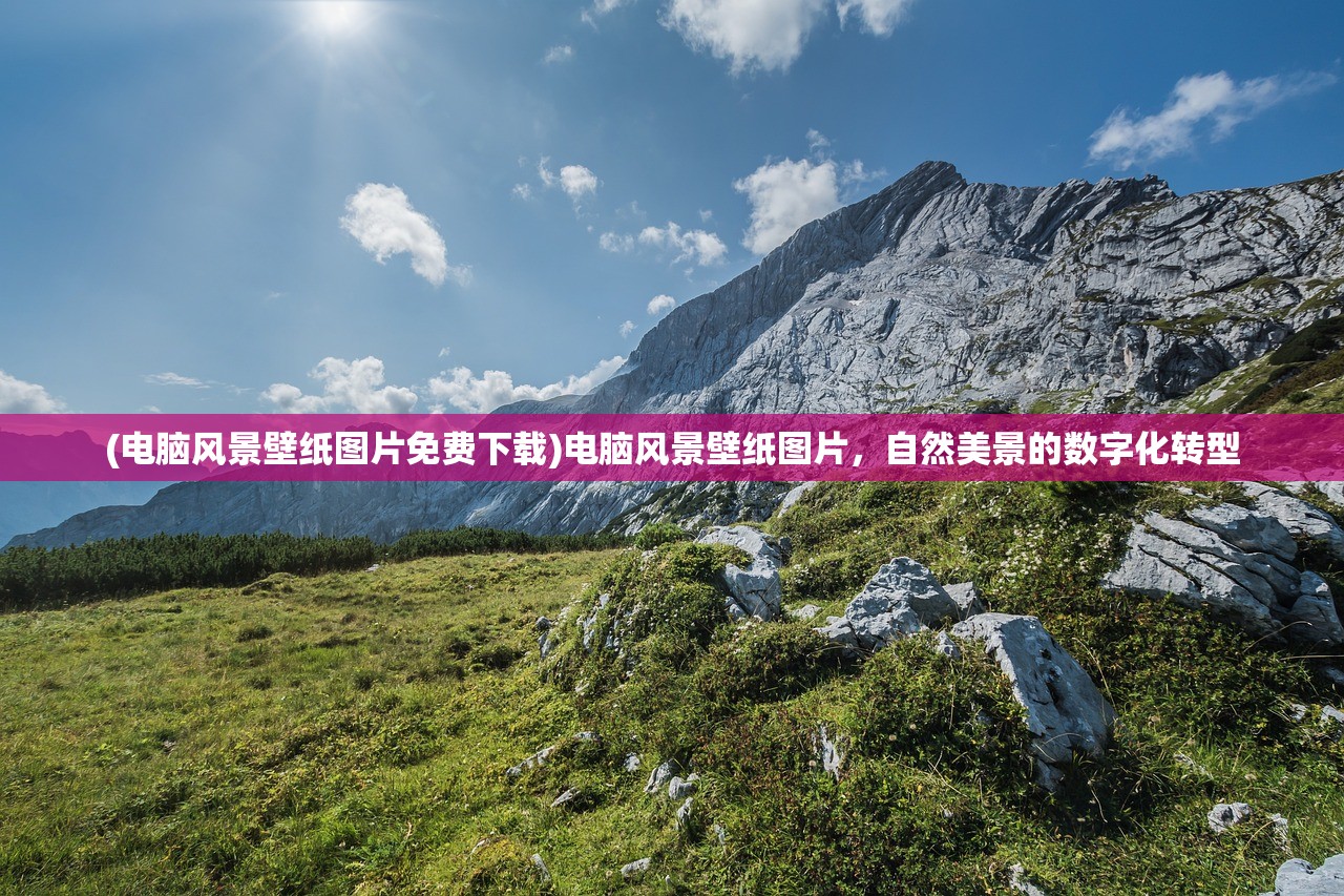 (迷你护卫队动画片人物名字怎么取)迷你护卫队动画片人物名字探秘
