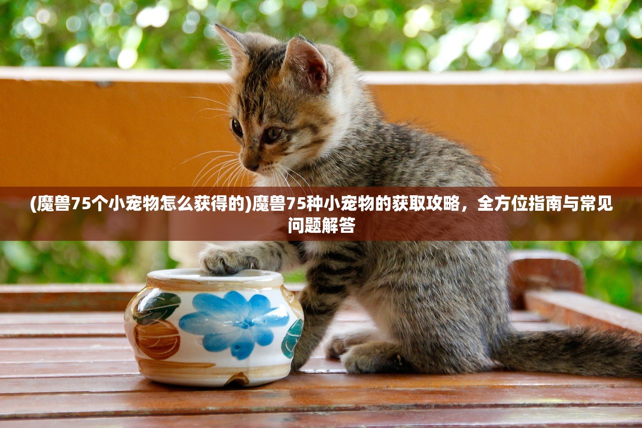 (战地狙击英雄内置修改器下载)战地狙击英雄内置修改器的探索与挑战