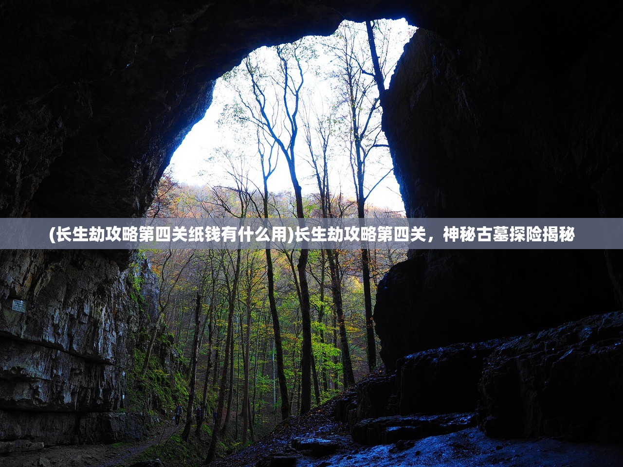 (代号界cg动画高清)代号界，探索未知领域的神秘符号