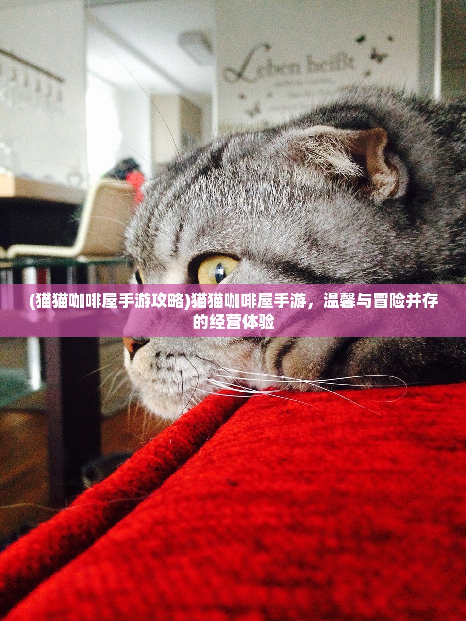 (进击的阿斯托拉手机游戏卸妆玩法)进击的阿斯托拉CG图，深度解析与探索