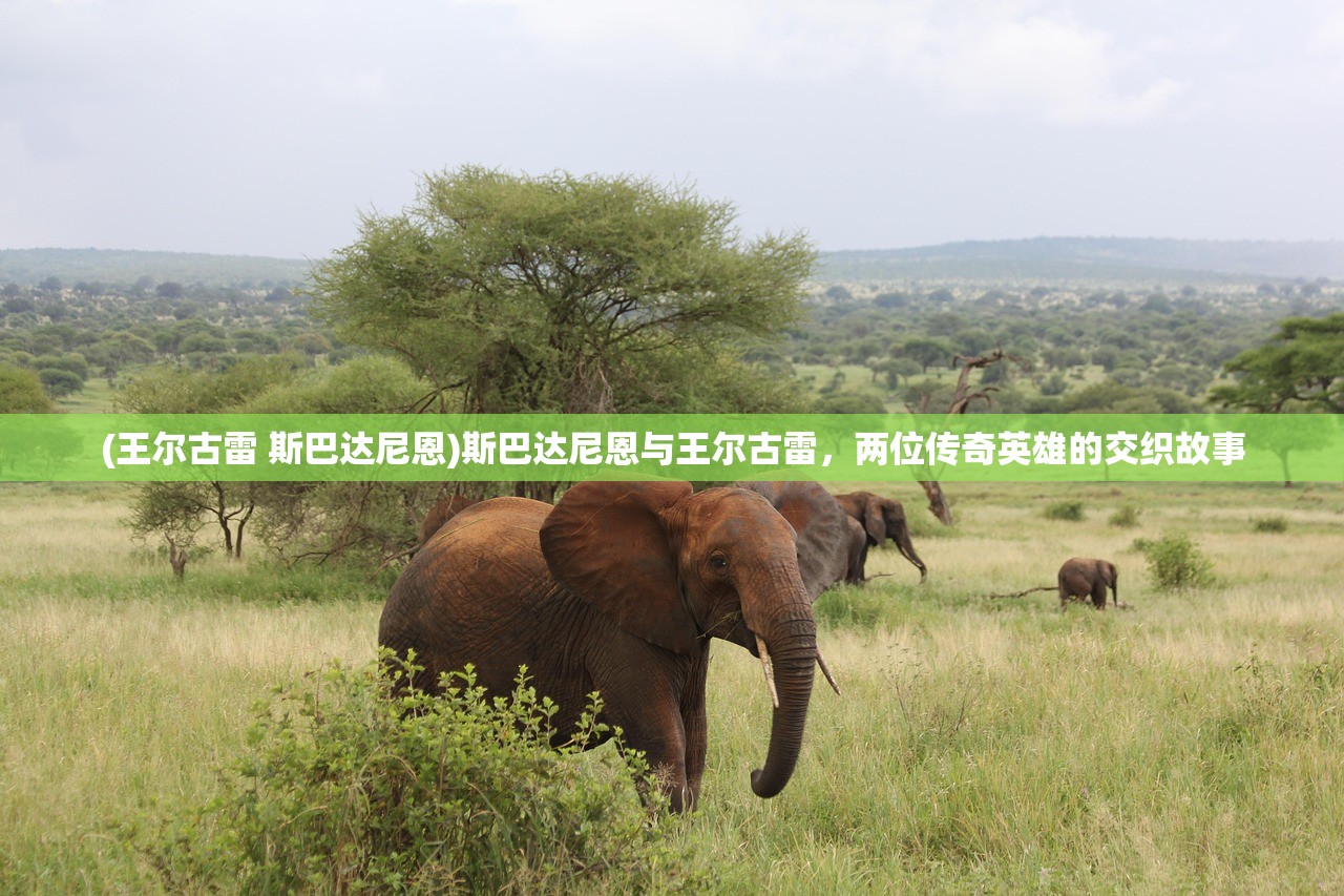 (阿姐鼓第5章攻略图文)阿姐鼓游戏全面攻略及常见问答（FAQ）