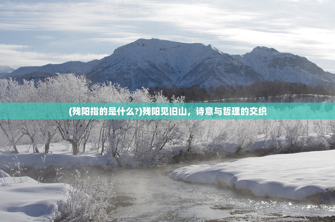 (幸存者村庄完美布局)幸存者村落，逆境中的生命重生与社群构建