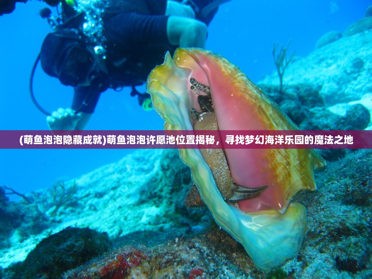(大圣传 说梦者)关于大圣传说梦者更新暂停的原因探究