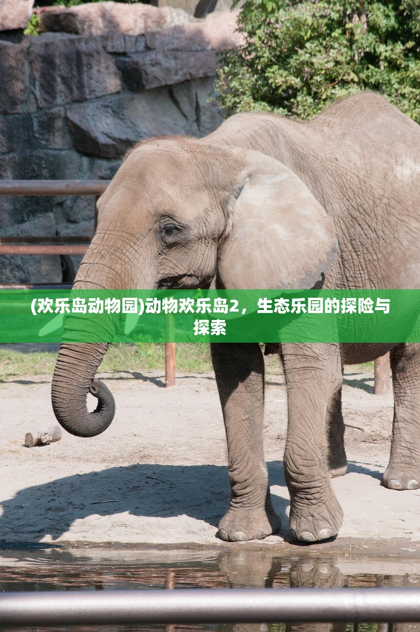(疯狂年月)疯狂的年兽票房，现象背后的成功之道与挑战分析
