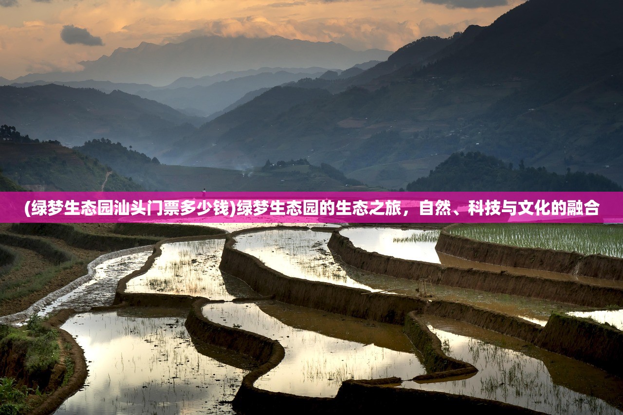 (龙腾盛世传奇手游官网)龙城传奇安卓版，游戏解析与常见问答