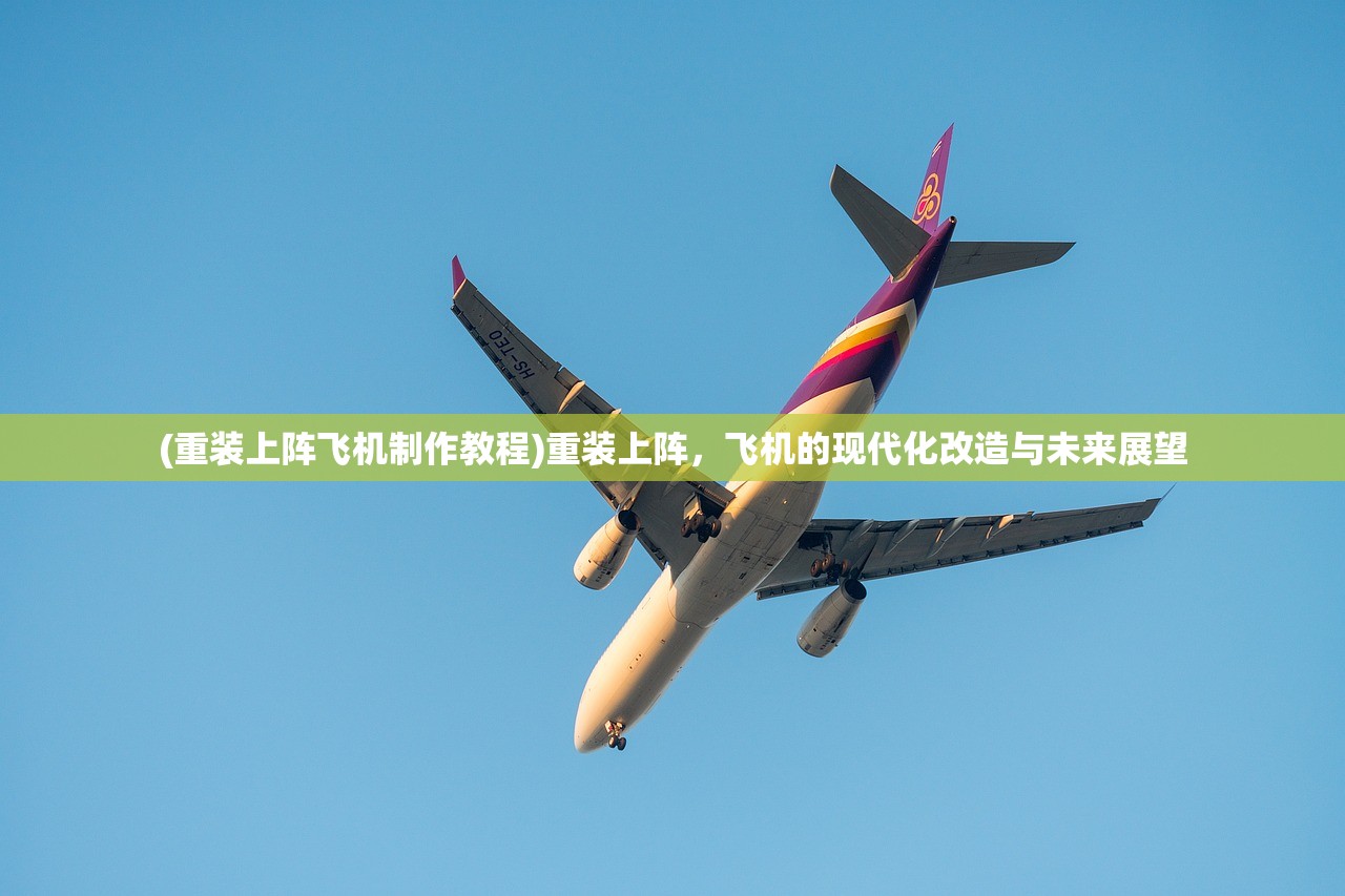 (寻秦记纪嫣然谁演最好)寻秦外传，纪嫣然之神秘传奇