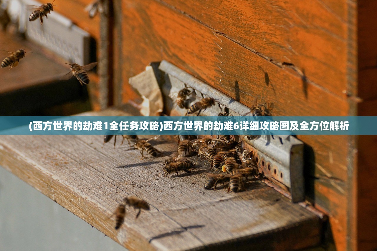 (超级探险小说百度百科)超级探险，深入未知的冒险之旅——来自百度百科的权威解读