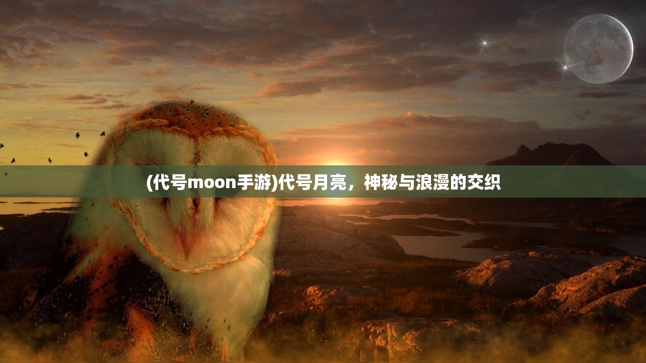 (神仙道高清重制版功法升级)神仙道2016功法等级开启详解