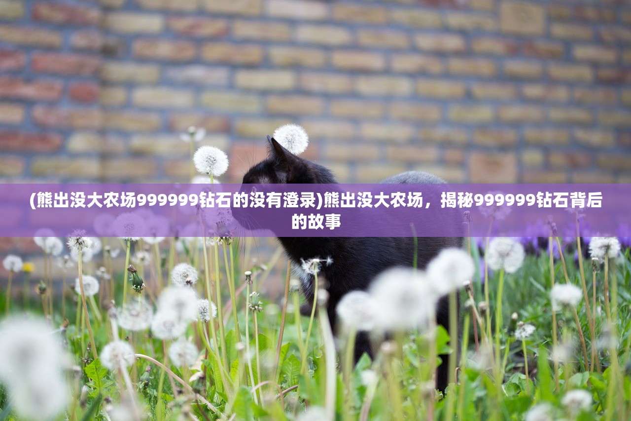 (熊出没大农场999999钻石的没有澄录)熊出没大农场，揭秘999999钻石背后的故事