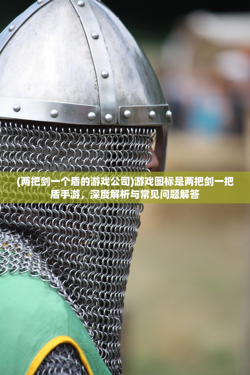 (两把剑一个盾的游戏公司)游戏图标是两把剑一把盾手游，深度解析与常见问题解答