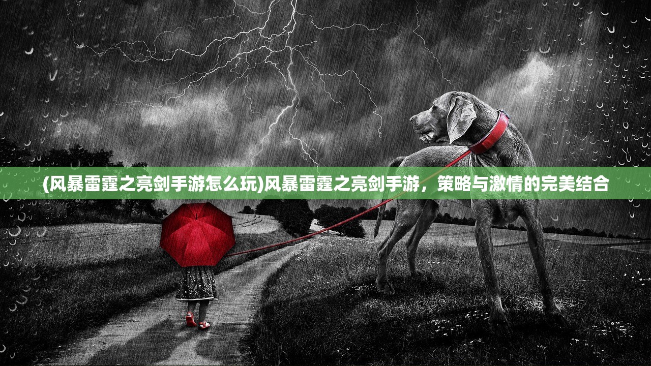 (风暴雷霆之亮剑手游怎么玩)风暴雷霆之亮剑手游，策略与激情的完美结合