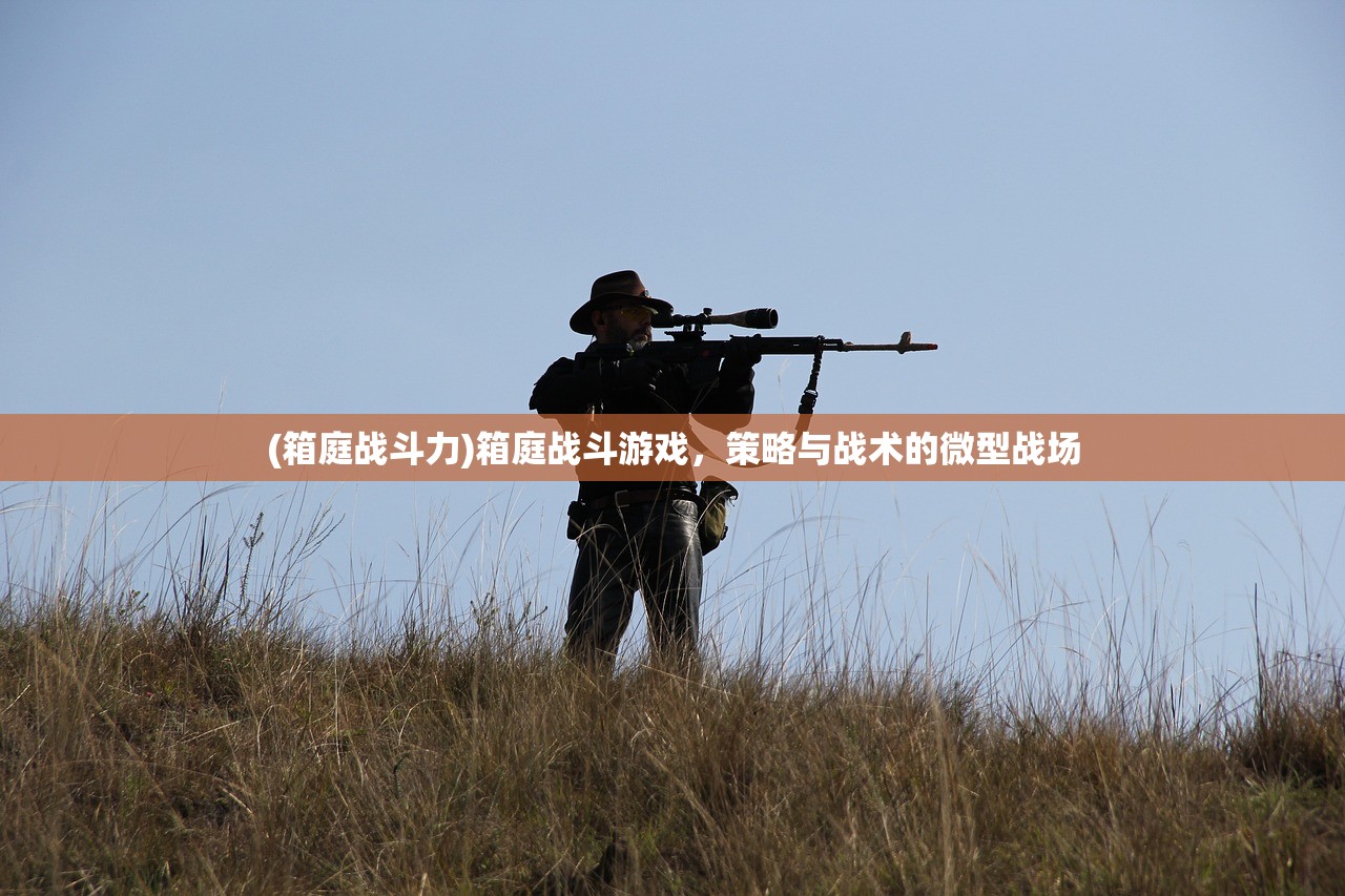 (箱庭战斗力)箱庭战斗游戏，策略与战术的微型战场