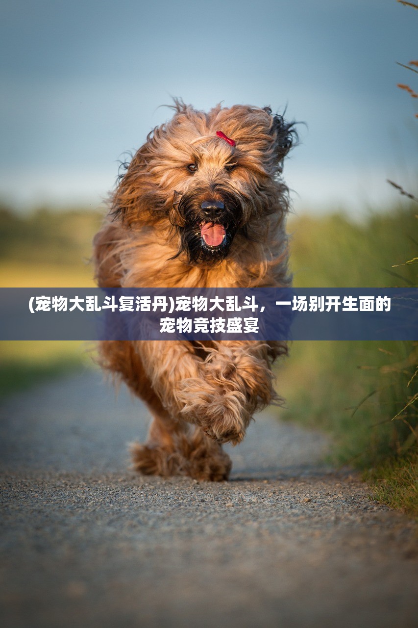 (宠物大乱斗复活丹)宠物大乱斗，一场别开生面的宠物竞技盛宴