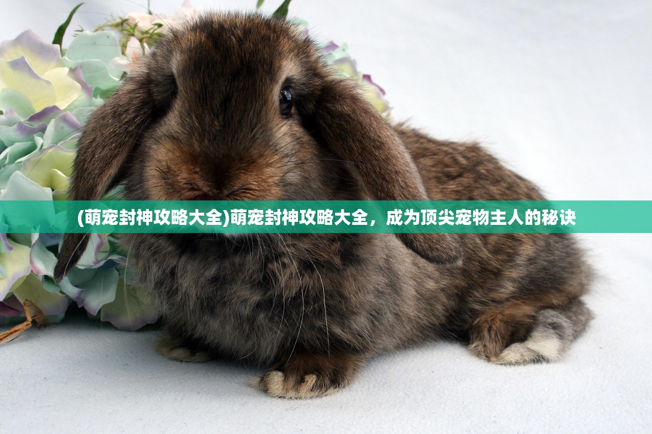 (萌宠封神攻略大全)萌宠封神攻略大全，成为顶尖宠物主人的秘诀