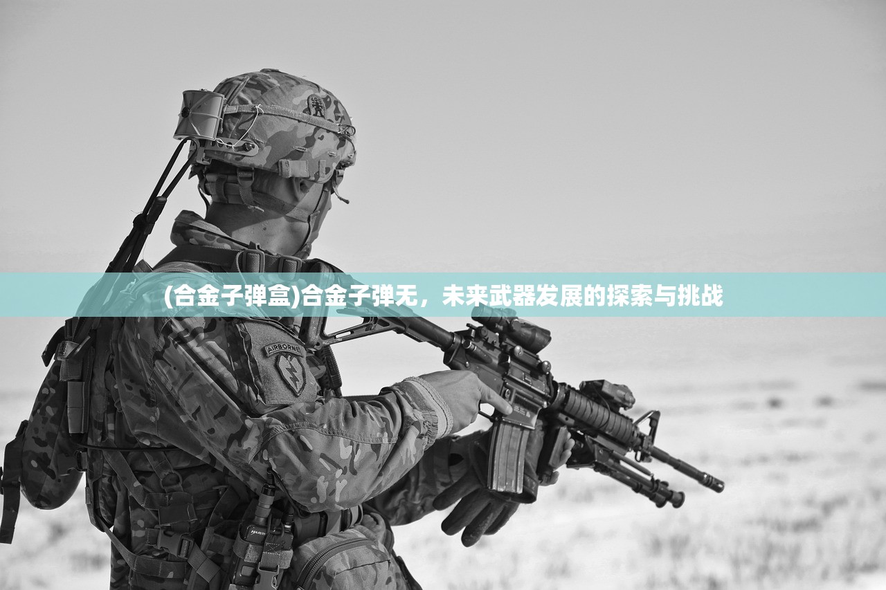 (合金子弹盒)合金子弹无，未来武器发展的探索与挑战