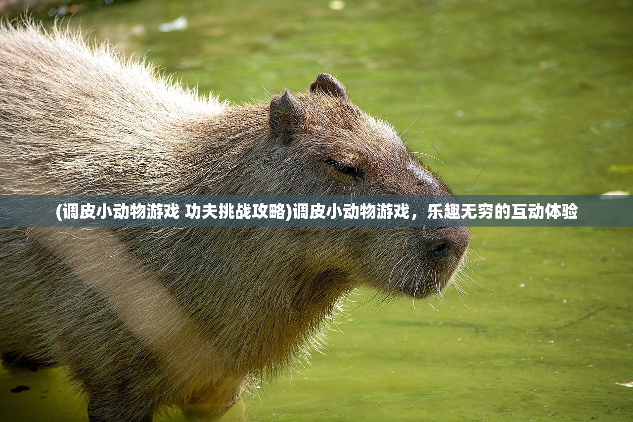 (调皮小动物游戏 功夫挑战攻略)调皮小动物游戏，乐趣无穷的互动体验