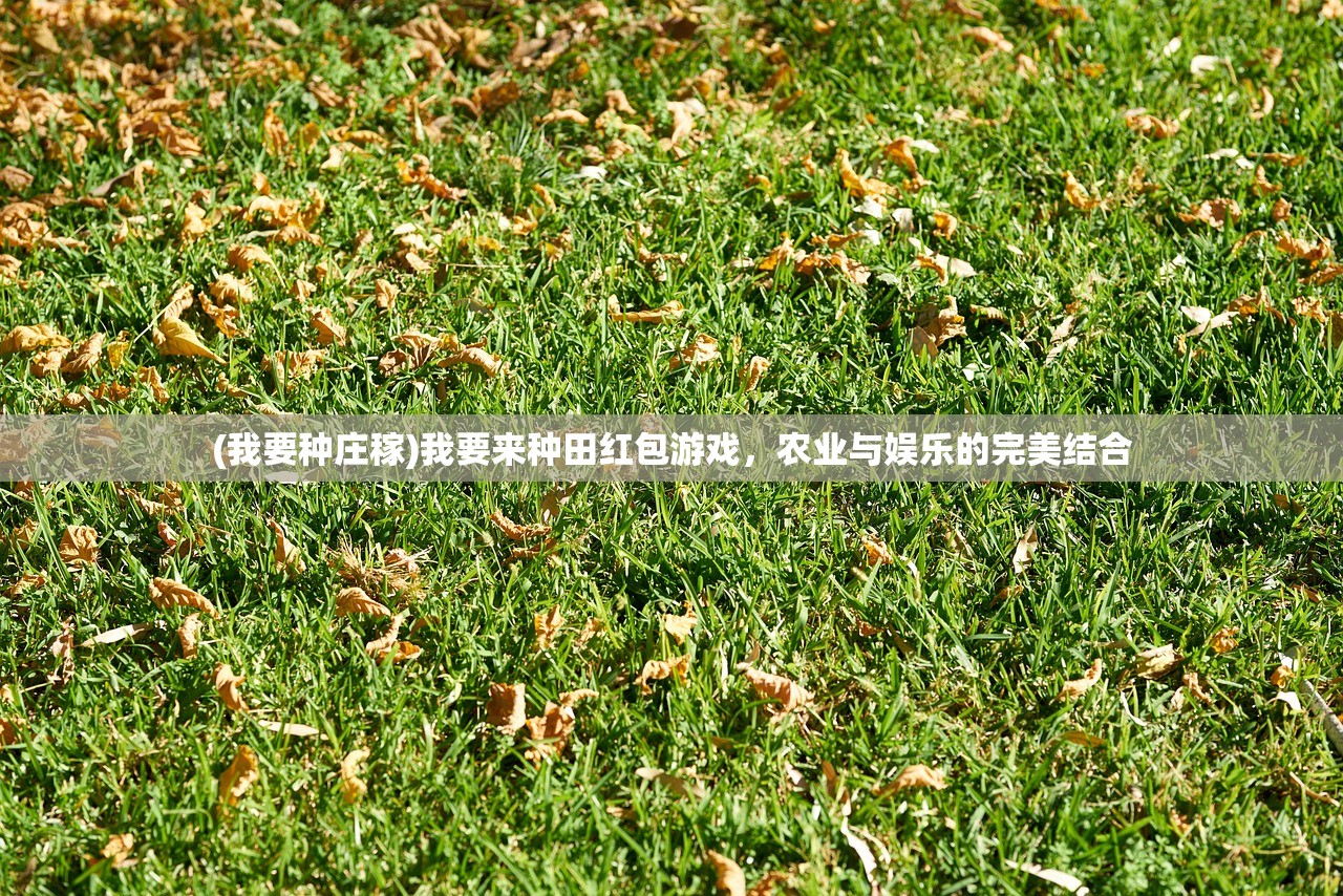 (大国战隼全文免费阅读)大国战隼，探索与解析