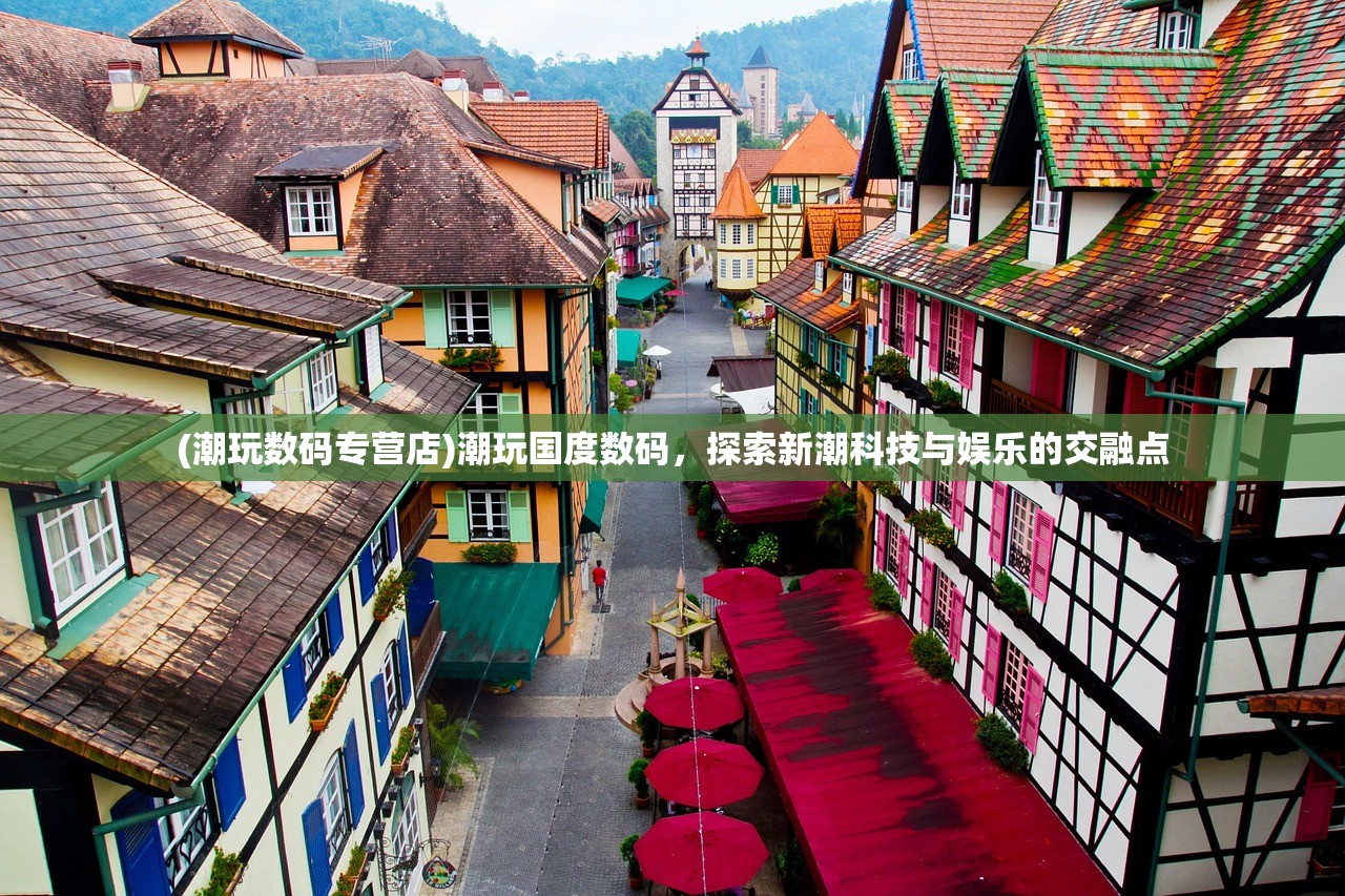 (潮玩数码专营店)潮玩国度数码，探索新潮科技与娱乐的交融点