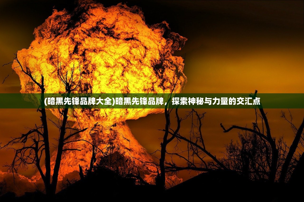(暗黑先锋品牌大全)暗黑先锋品牌，探索神秘与力量的交汇点