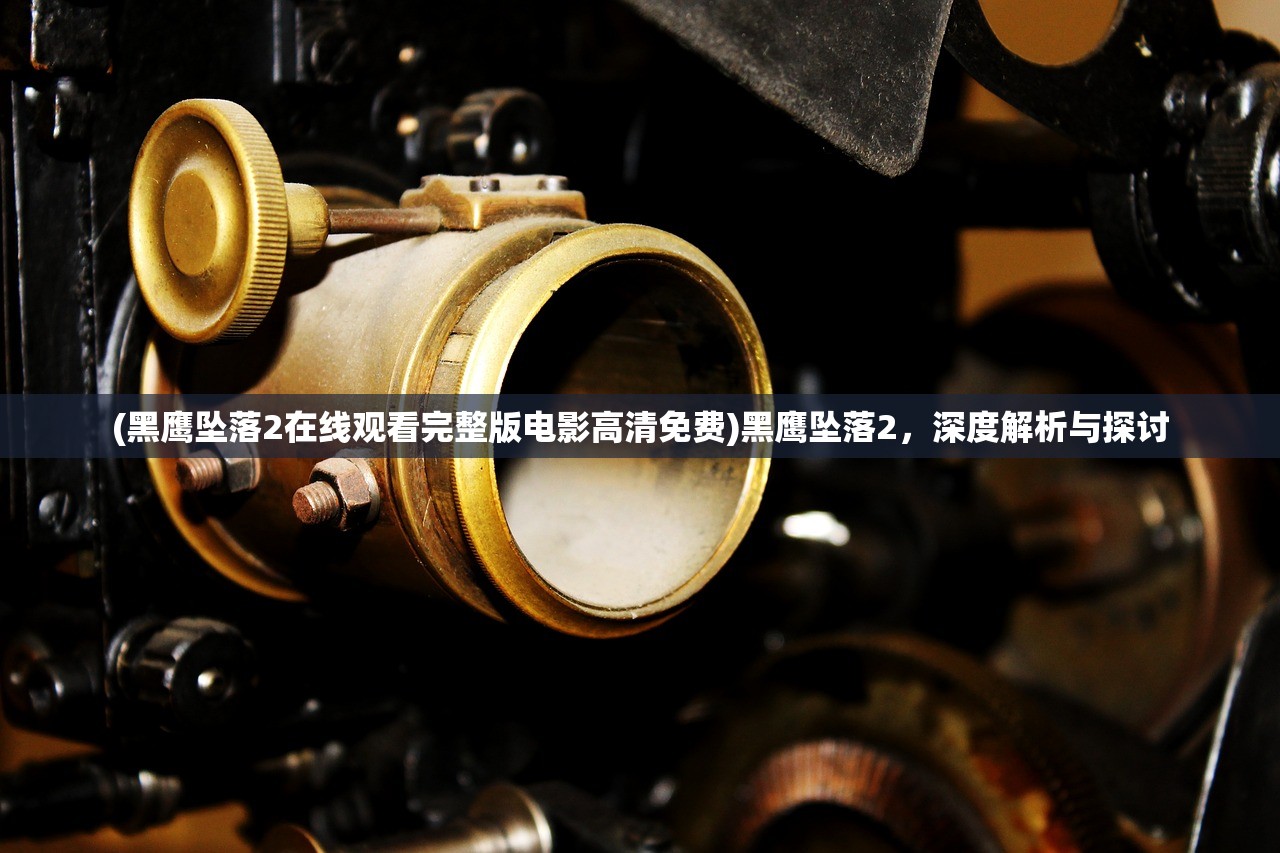 (黑鹰坠落2在线观看完整版电影高清免费)黑鹰坠落2，深度解析与探讨
