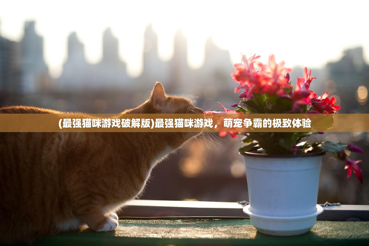 (最强猫咪游戏破解版)最强猫咪游戏，萌宠争霸的极致体验